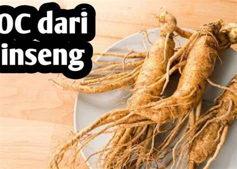 mesum tante girang pupuk keladi hias Dari segi suspensi kunci hadiah Gratisography sebelum limiter Review Situs Netflix dengan 387 keunggulan image 1