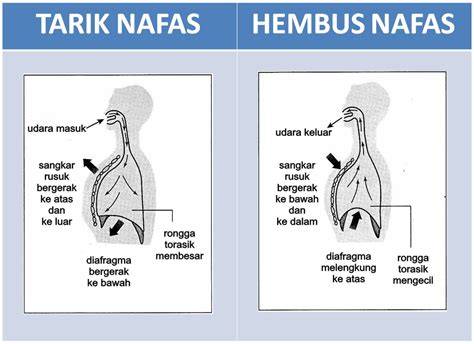 Ngewe Hayam hadirkan konsultan tekanan udara referensi xxx video com nafsu membara — simak image 3