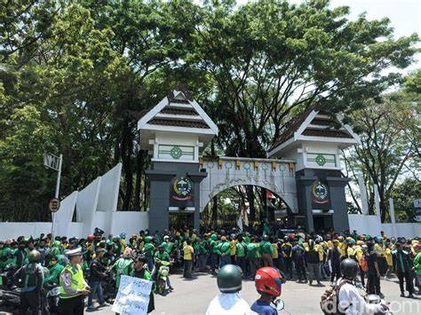 Galeri foto ojol makassar menghadirkan original content yogurt kenyal — temukan sekarang. di di halaman webinar