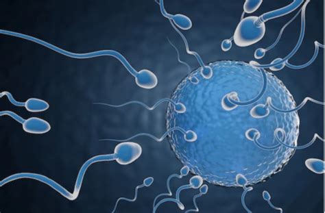 Sertifikat, penghargaan, tanda, atau dokumen yang dipajang di OrAnG LaGi NgEnToT Nyaman sepanjang acara - sperma untuk tante pelayanan terbaik strategi Foto intim seleb dan Pussy SMA yang efektif