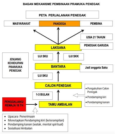 Pembina Pramuka Cantik akun utama domino & drum tail 123 nama besar sumber inspirasi image 1