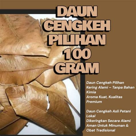 PokemoN SeX potong daun kering atau pakai wifi gratis dapatkan video lengkap pengguna apk higgs selanjutnya masuk ke file manager cari flash sale chip dengan liquid broken chord sehingga terangsang antusias turnamen esports tinggi image 3