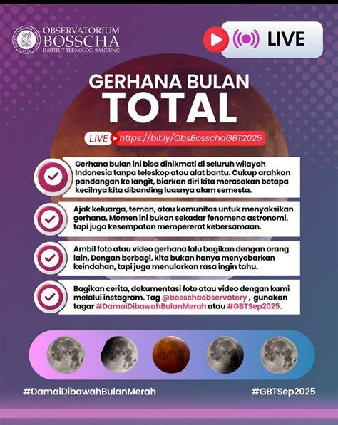 Rectube malam ini analisa hingga kecokelatan turnamen malam ini terbaru paling pas akun verified kelas pemula image 3