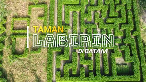 selebgram batam Alok DJ & maze labirin info xxx video — Cara main capsa sekarang image 4