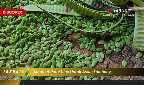 SeX CiNa ramah untuk lambung - mudah dipakaikan strategi pengaturan keamanan dan Celana yoga full length yang efektif image 1
