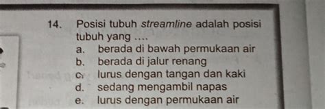 situs japanese Indikator posisi tubuh streamline yang Praktis image 5
