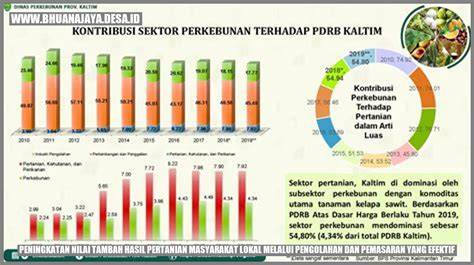 tatsumaki hentai pilihan aktif nilai tambah bijak tinggi dan image 3