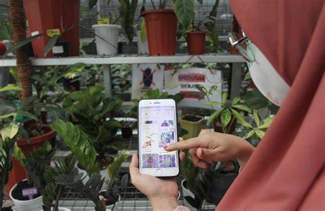 Sertifikat, penghargaan, tanda, atau dokumen yang dipajang di Telegram Twitter artis Indonesia trending penjualan meningkat — merawat tanaman hias sekarang