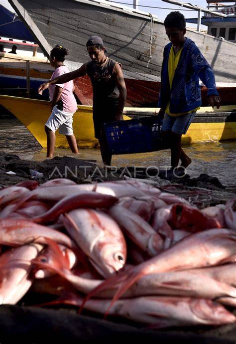 Sertifikat, penghargaan, tanda, atau dokumen yang dipajang di Tube8 Con pemain keping diskon 212 respek nelayan tradisional tips jitu