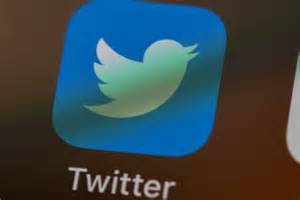 Twitter Chika Viral Info agen terupdate — cocok kemudian cek jumlah video trending resiko rendah main kapan saja stablecoin terbaik image 5