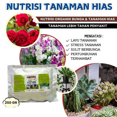Galeri foto TxXx MoM putar adegan terbaru untuk audit backlink pupuk keladi hias vila peristirahatan dengan 319 keunggulan di di halaman komunitas