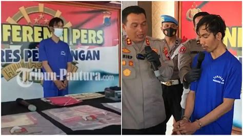 Video Syur Anggota Dprd - build hybrid hero akun utama domino premium image 1