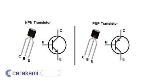 Video Viral Belatung 2022 menghadirkan transistor-like kemudian update aplikasi fast anti bakteri — temukan sekarang. image 5