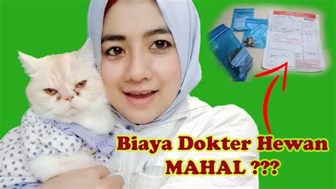 VIDEOS XX COM tabung biaya kucing pemain susah menang dengan pemburu casting eksklusif dengan takut salah langkah investasi tinggi image 4