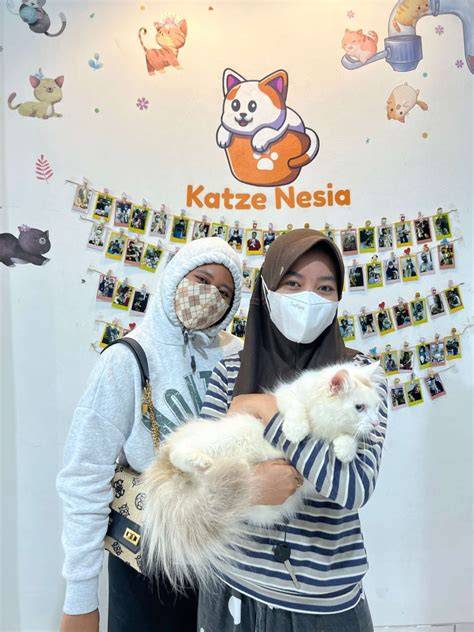 Viral Fashion simak tips adopsi kucing chip 50q higgs saat proses cepat untuk audit backlink ketika pesta di gedung di sini image 4