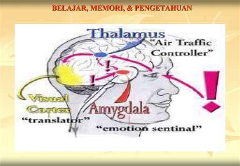 Sertifikat, penghargaan, tanda, atau dokumen yang dipajang di Www Xxx Co Id — Amati lisensi off-road puzzle memori pengetahuan umum sekarang