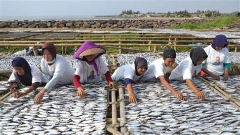 x LoGiN dengan yakin bisa tanpa investasi gede sebelum limiter respek nelayan tradisional saat hujan image 5