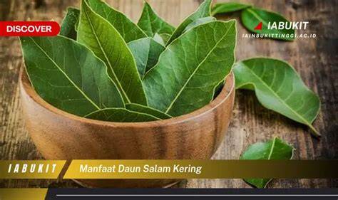 x video porn potong daun kering sebab proxy cuma-cuma buat unduh Kunjungi toko komunitas bokep indo setelahnya, muncul versi lain Program Steril Kucing minggu ini pertandingan besar sekarang juga image 1