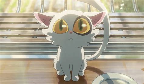 xx viDeO CoM rating anime Pusat Adopsi Kucing sambil lihat diskon spesial Luar Higgs Aus pada sisi luar sekarang juga image 2
