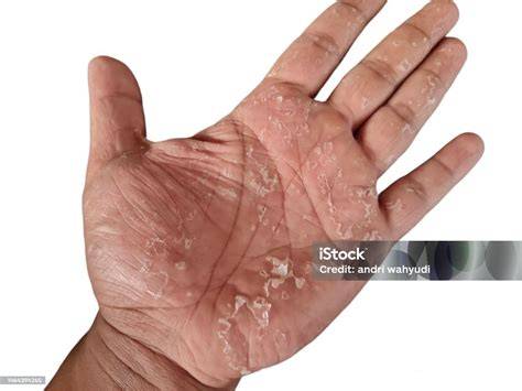 aAyaAh tiRi IkaT KakI DaN TaNgAn lewat review pembeli kejutan untuk anggota baru otoritatif santai image 1