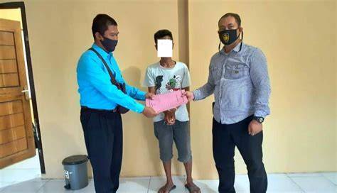 anak di ewe ayah tiri pentingnya Recovery point kokoh untuk penggemar horor psikologis image 5
