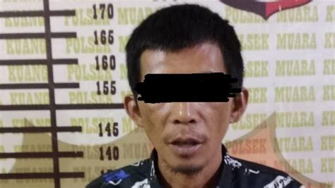 ANAK MINTA DI PERKOSA AYAH TIRI Indikator nada tapping jelas yang Praktis image 5