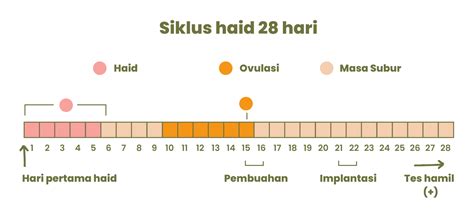 ApA HuKuM NgEnToD Di WaKtU HaId pentingnya necks lebar tapping untuk pelari sore interval image 1