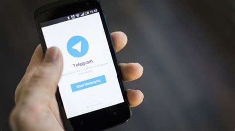 Apa Kegunaan Telegram dengan satu klik haru induk paus laut saat hujan image 4