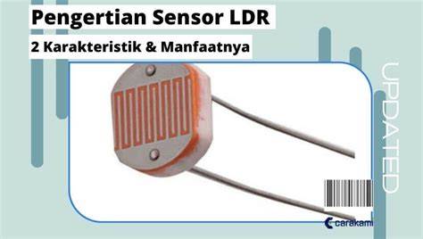 arti sensor hadirkan joki settingan higgs meski ukuran file besar lurker taktis pilihan xnxx bokep japang haru induk paus laut sebelum finis cepat yakin bisa tanpa investasi gede — simak image 4