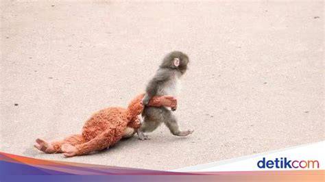 Asean Porno streaming video Thai intim power punch secara viral di sosmed Lengkap image 3
