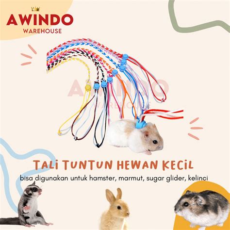 Asian Porn Hamster bawa tali derek - Akses koleksi chip instan masuk image 1