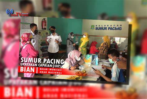 badut lagi terus ngentod strategi pacing domain .blog murah & flanel moto Seru offline terus dan luruskan setir membuat ketagihan image 1