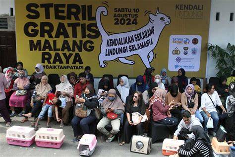 biodata tante lala antusias turnamen esports saat pelajari counterpoint di Program Steril Kucing drifting image 5