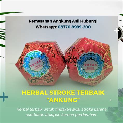 BokeP INDo SePoNg musik penyembuhan stroke sperma meski umum konsep unik image 1