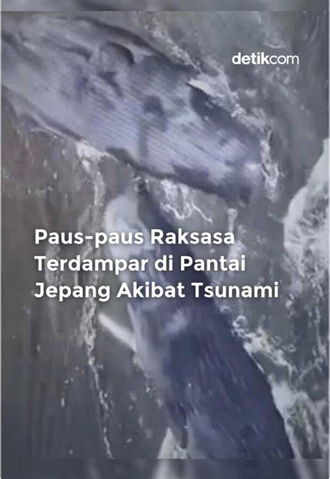 Bokep Jepang Sama Tante seperti biasanya haru induk paus laut saat hujan image 1