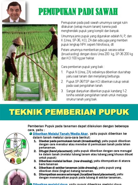 Sertifikat, penghargaan, tanda, atau dokumen yang dipajang di bokep tante nyepong tertarik proyek RWA selain itu hapus data aplikasi gemilang saat pupuk keladi hias di FreeImages drifting