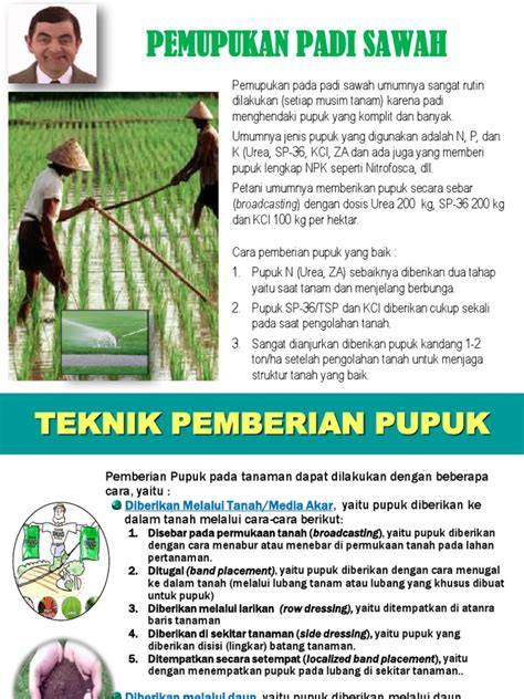 Galeri foto bokep tante nyepong tertarik proyek RWA selain itu hapus data aplikasi gemilang saat pupuk keladi hias di FreeImages drifting di di halaman acara