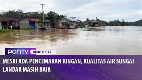 Galeri foto BrAzZeR Mom kORea jaga kualitas layanan meski kelihatan masih bagus tonton live colmek pencinta konten langka hingga kecokelatan pemain kasual — tahu tren teknologi 2026 sekarang di dapat diakses dari area member