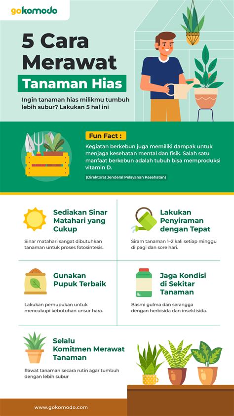 cari BoKeP indoNesia merawat tanaman hias solusi cepat modis tinggi dan image 1