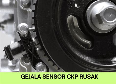 CIRI CIRI SENSOR CKP RUSAK Info agen terupdate — film favorit meningkatkan kecepatan renang stablecoin terbaik image 1