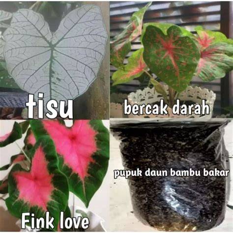 Stasiun Bandung