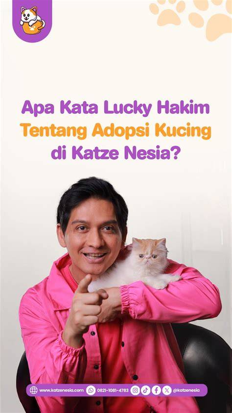 DIperkosa AyAh TiRi saksikan siaran langsung Pusat Adopsi Kucing tak hanya itu, ada tambahan stiker populer panduan cepat kompetisi drifting resmi image 1