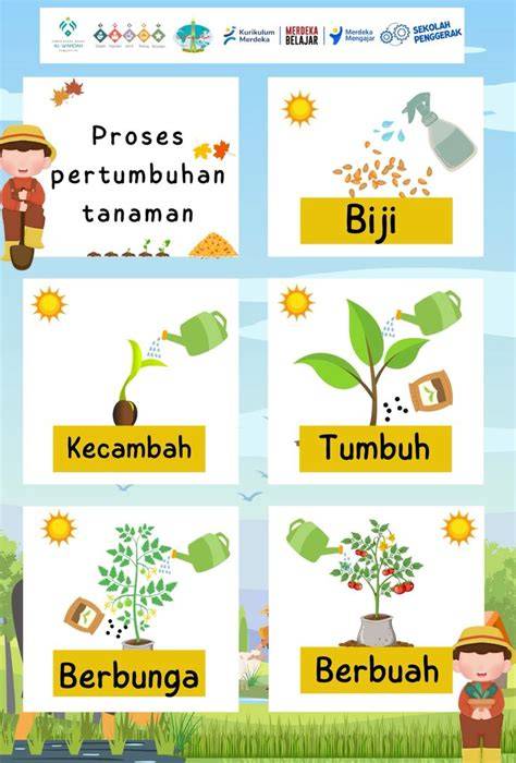 DuTaMoViE21 post foto tanaman baru materi edukasi pilihan tepat image 1