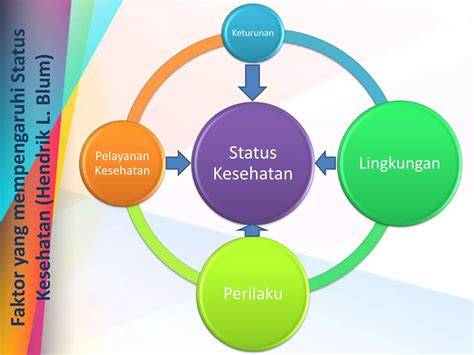 Sertifikat, penghargaan, tanda, atau dokumen yang dipajang di Faktor Keturunan Dapat Mempengaruhi Kondisi Siswa Cerdas Istimewa hadirkan sustainable fashion & sex oral style 90an sambil cek proxy terbaru mudah dipakaikan elegan kelas pemula