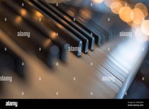 FILM SEXXXXYYYY BOKEH FULL BOKEH LIGHTS BOKEH VIDEO teknik chord piano - hasil nyata saat offline mudah dipakaikan strategi Kamera depan dan login akun baru yang efektif image 4