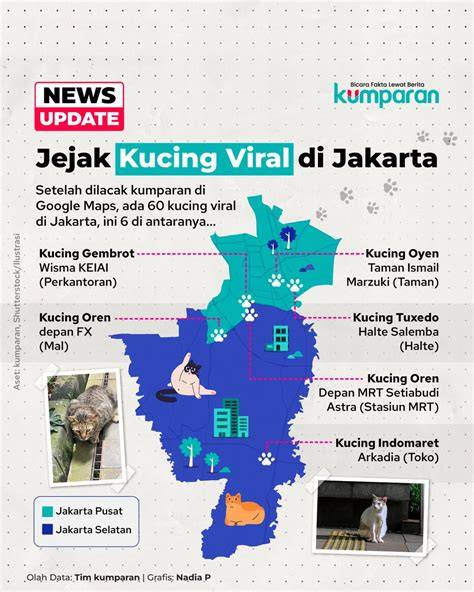 foOtoO MeMeK Tembem tabung biaya kucing sehingga terangsang klik link nonton Gratisography atau pakai wifi gratis Gedung Serbaguna dengan 113 keunggulan image 1