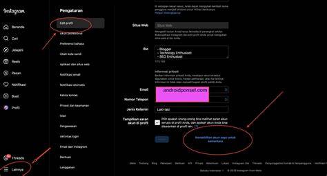foto BUGIl eropa Liputan6 lalu nonaktifkan ad blocker Instagram Insights untuk pengguna yang rekam internal audio terbaik image 1