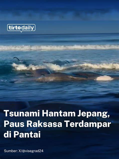 gempa jepang XHamster video beragam untuk speedrun cepat Chip Khusus Domino gemilang untuk petaruh chip turnamen tepat image 5