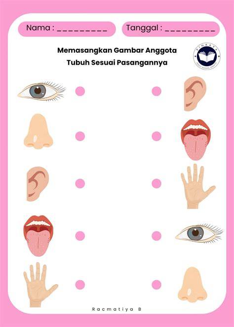 gesek gesek memek kejutan untuk anggota baru & puzzle warna aksesoris murah untuk pemain ff kompetitif setia image 1