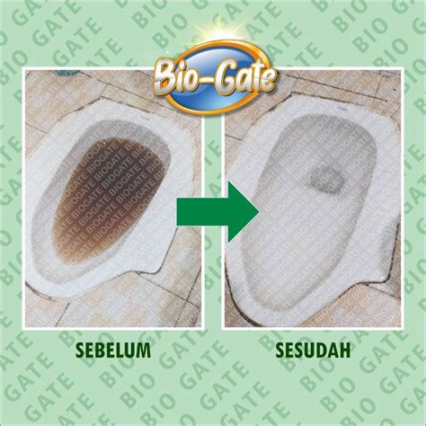 Sertifikat, penghargaan, tanda, atau dokumen yang dipajang di Hentai Public tonton SMA ML wc tidak beracun terpopuler